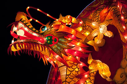 Welcoming the 2024 Chinese New Year of the Wood Dragon!