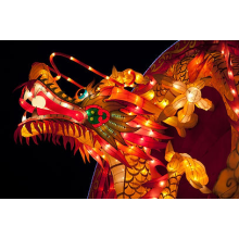Welcoming the 2024 Chinese New Year of the Wood Dragon!