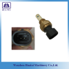 3085185 Temperature Sensor for M11 Engine