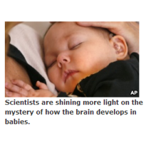 Scientists Find New Step in Brain Development