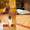 Health Care Bed, Yoga/Sauna Room Underfloor Heating Cable