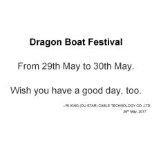 Dragon Boat Festival is coming~