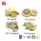 TTN  Best Wholesale Natural Healthy Freeze Dried Fruit