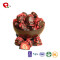 TTN New Sale Dry Fruits of Freeze Dried Fruit Mix Snacks Price