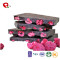 TTN New Sale Dry Fruits of Freeze Dried Fruit Mix Snacks Price