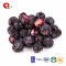 TTN Hot Sale Best Freeze Dried Blueberries Fruit Chinese Dried Food