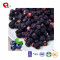 TTN Chinese Wholesale Freeze dried Blueberries Fruit For Low Calorie Snacks