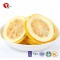 TTN 2018 Freeze Dried Lemon Slices and Powdered Lemon