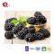 Best Wholesale Chinese Products Freeze Dried Blackberry Fruit