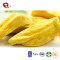 TTN China New Export Freeze Dried Jackfruit For Sale as Healthy Snacks
