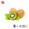 TTN China Supplier Prices For Freeze Dried Fruit Kiwi With Kiwi Nutrition