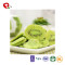 TTN Wholesale New Freeze Dried Green Kiwi Fruit From Chinese Manufacturers