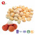 TTN Wholesale Healthy Freeze Dried Litchi Fruit
