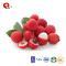 TTN Hot Export Green FD Freeze Dried Fruit Litchi For Lychee Fruit Buyers