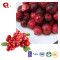 TTN Chinese Hot Sale Freeze Dried Cranberries Fruit as Healthy Cranberry  beans Snacks
