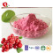 TTN Healthy Snack Freeze Dried Cranberries Foods Prices For Cranberry Fruit powder