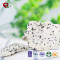 TTN Hot Sale Freeze Dried Dragon Fruit Food Price From Chinese Manufacturers