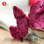 TTN Hot Sale Freeze Dried Dragon Fruit Food Price From Chinese Manufacturers