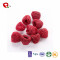 TTN Wholesale Freeze Dried Fruit Raspberries For Healthy Chinese Snacks
