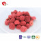 TTN 2018 Wholesale Freeze Dried Red Raspberry Fruit Food Price