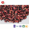 TTN Best Buy Freeze Dried Blueberries Fruit From Chinese Fruit Manufacturers