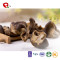 TTN China Best Healthy Fried Mushrooms From Fresh Shiitake Mushrooms