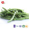 TTN The Latest Wholesale Chinese Crispy Fried Fresh Green Beans