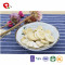 Wholesale Dried Fruit Healthy and Natural Dried Banana Chips