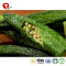 TTN Chinese Hot Sale Vacuum Fried Okra Vegetables As Healthy Fried Okra Snacks