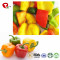 TTN Bulk Wholesale Vacuum Fried Pepper Vegetables With Green And Red Pepper Nutrition