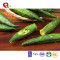 TTN Chinese Hot Sale Vacuum Fried Okra Vegetables As Healthy Fried Okra Snacks