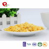 TTN Hot Sale Best Freeze Dried Corn Vegetables Chinese Dried Food benefits