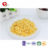 TTN Wholesale Freeze Dried Vegetables of Dried Corn vitamin