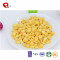 TTN Wholesale Freeze Dried Vegetables of Dried  Sweet Corn Of China Suppliers