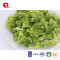 TTN Healthy Freeze Dried Broccoli Vegetables From Frozen Broccoli