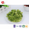 TTN  2018 Wholesale Chinese Freeze Dried Vegetables Of Broccoli Price