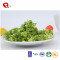 TTN Hot Export Green Freeze Dried Frozen Broccoli For Broccoli Buyers