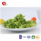 TTN Hot Export Green Freeze Dried Frozen Broccoli