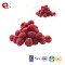 TTN China Wholesale Natural Healthy Freeze Dried Red Raspberry Fruit With Lowest Price