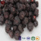 TTN Healthy Natural Freeze Dried Blueberries Fruit Chips