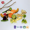 TTN Chinese Wholesale Hot Sale Best Freeze Dried Mix Vegetables Chips