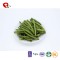 TTN The Latest Wholesale Chinese Crispy Fried Fresh Green Beans