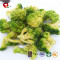 TTN China New Best Vacuum Fried Broccoli Vegetables As low fat chip fryer