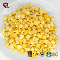 TTN Wholesale Freeze Dried Vegetables of Dried  Sweet Corn Of China Suppliers