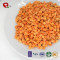 TTN Freeze Carrots Diced Price Of Carrot Fries Carrot Crisp