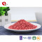 TTN Price of Top 10 Freeze Strawberry Powder From Dried Fruit Food Suppliers