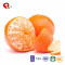 TTN The Latest Prices For Freeze Dried Fruit Orange Snacks