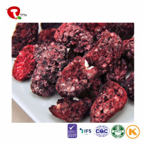 TTN  Best Wholesale Chinese Products Freeze Dried Blackberry Fruit