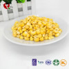 TTN Wholesale Freeze Dried  Sweet Corn Of China Suppliers