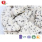 TTN Hot Sale Freeze Dried Dragon Fruit Food Of Dragon Fruit Smoothie